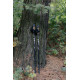 Палиці для скандинавської ходьби Tribe Nordic Pole Alu T-ME-0022-white