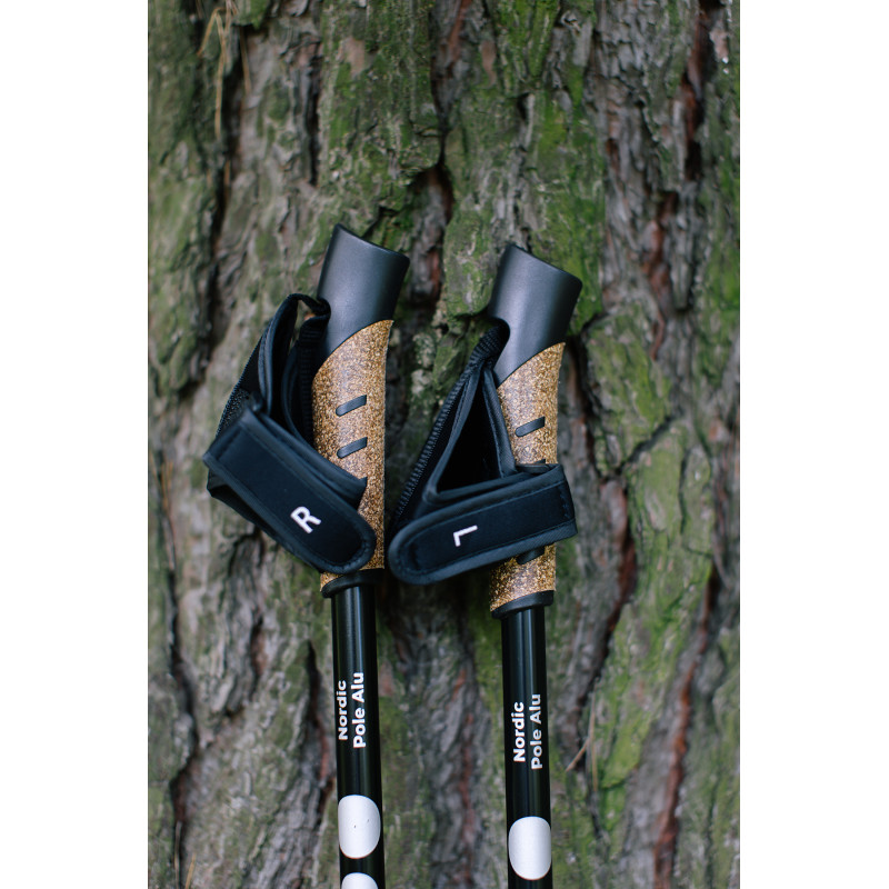 Палиці для скандинавської ходьби Tribe Nordic Pole Alu T-ME-0022-white