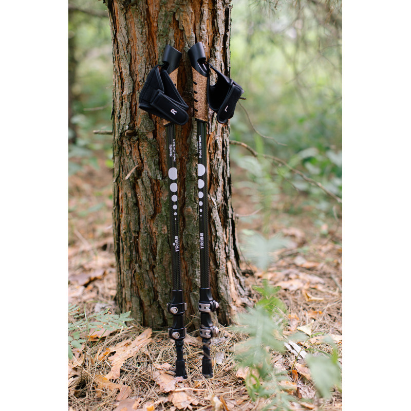 Палиці для скандинавської ходьби Tribe Nordic Pole Carbon T-ME-0023-white