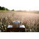 Чайник Tribe Kettle 1,2 л сталевий T-FI-0010-metal