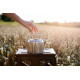 Чайник Tribe Kettle 1,2 л сталевий T-FI-0010-metal