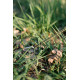 Намет Tramp Brest 4 (V3) UTRT-110-olive