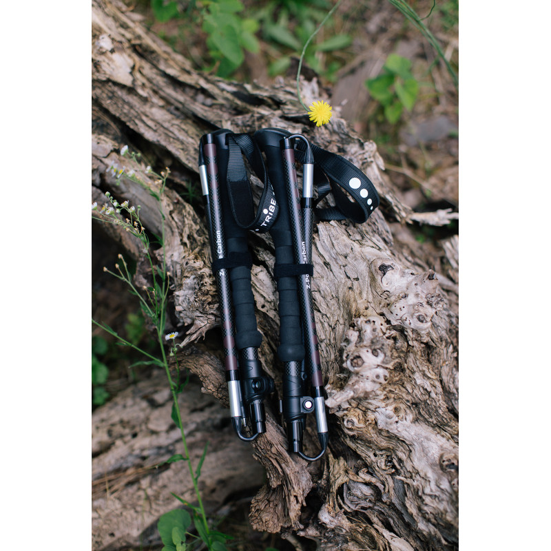 Трекінгові палиці Tribe Z-Pole Carbon T-ME-0025-plum