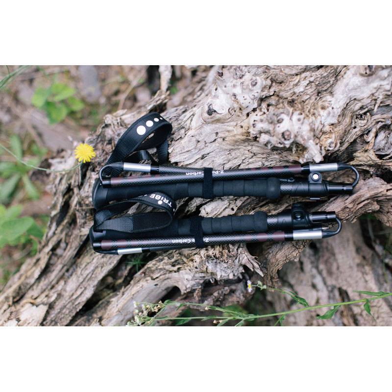 Трекінгові палиці Tribe Z-Pole Carbon T-ME-0025-plum