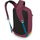 Рюкзак Osprey Arcane Small Day