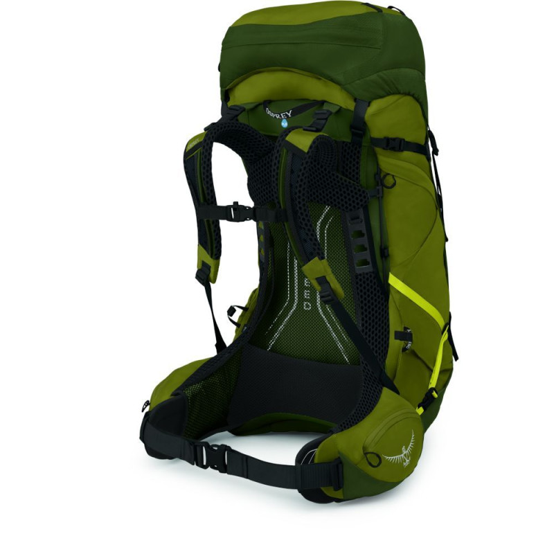 Рюкзак Osprey Atmos AG LT 50 scenic valley/green peppercorn - S/M - зелений