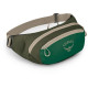 Поясна сумка Osprey Daylite Waist green canopy/green creek - O/S - зелений