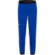 Штани Salewa Pedroc DST WO Wms