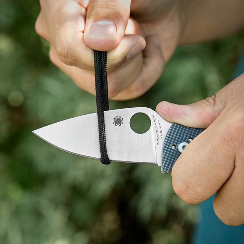 Ніж складаний Spyderco Alcyone (довжина: 179мм, лезо: 74мм), чорний