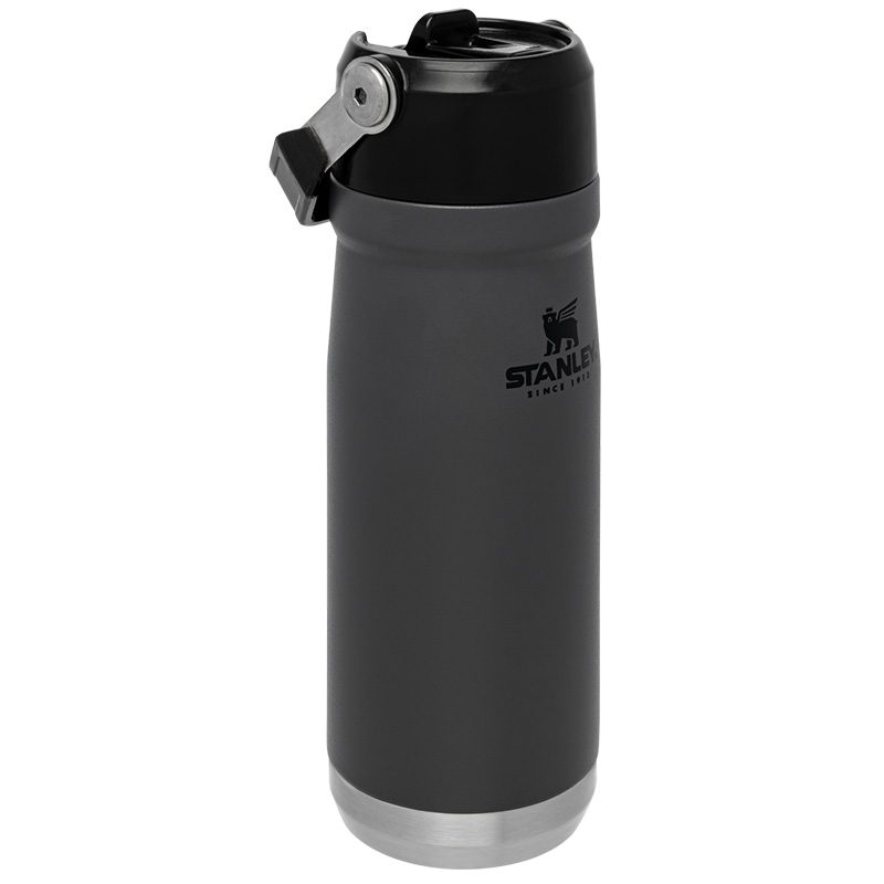 Термопляшка Stanley Go flip straw (0.65л), сіра