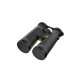 Бінокль LEUPOLD BX-2 Alpine 10x52mm Roof темно-сірий