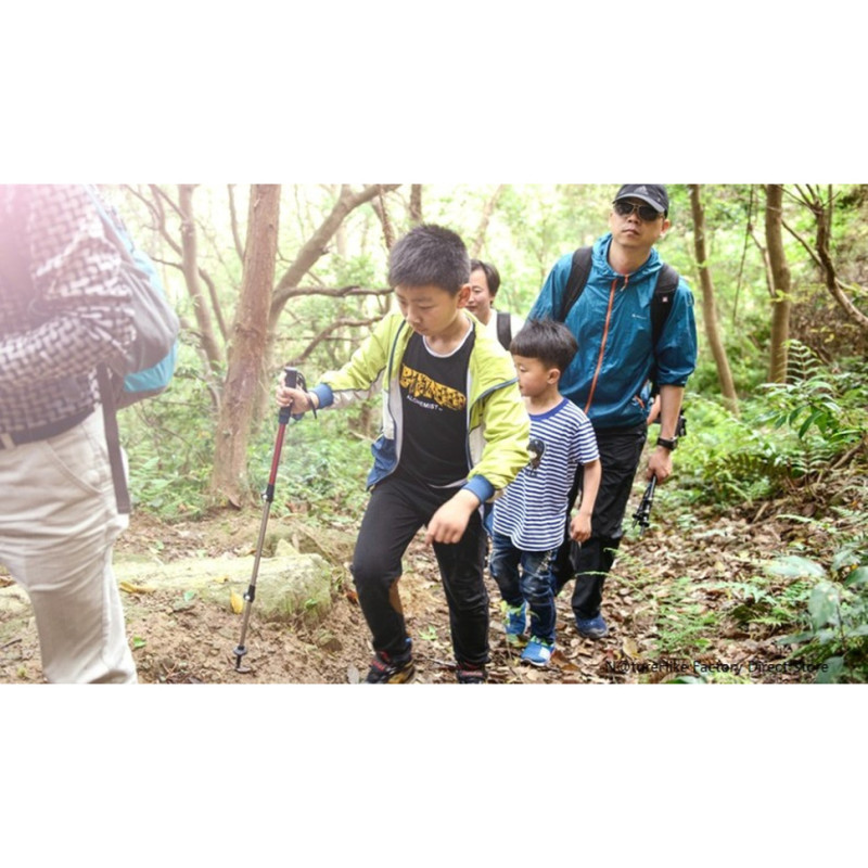 Трекінгова палиця 3-сек. Naturehike Women 6061 AL NH17D001-Z, 57-120 см, алюміній,  золотиста