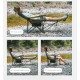 Крісло-шезлонг складане Naturehike CNK2550JJ023 Nightfall T05, сталь, оливкове