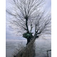 Плащ-дощовик Naturehike CNH23RG001, темно-зелений