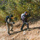 Трекінгова палиця 3-секційна Naturehike ST06 NH17D006-D, 60-120 см, біла